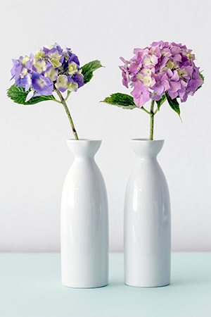 Sample image Sample image